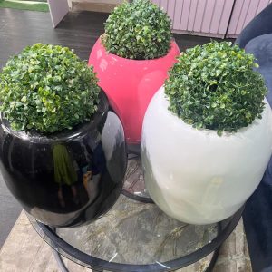 potted plants