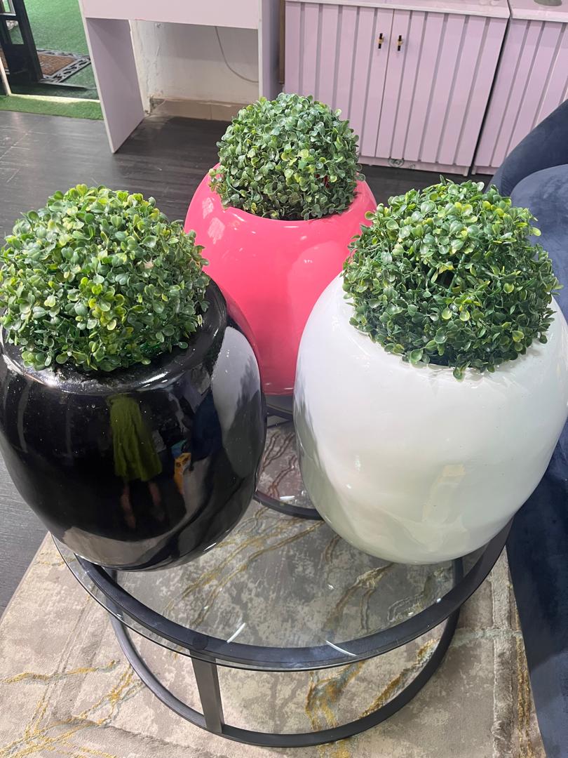 potted plants