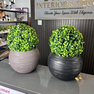 potted plants