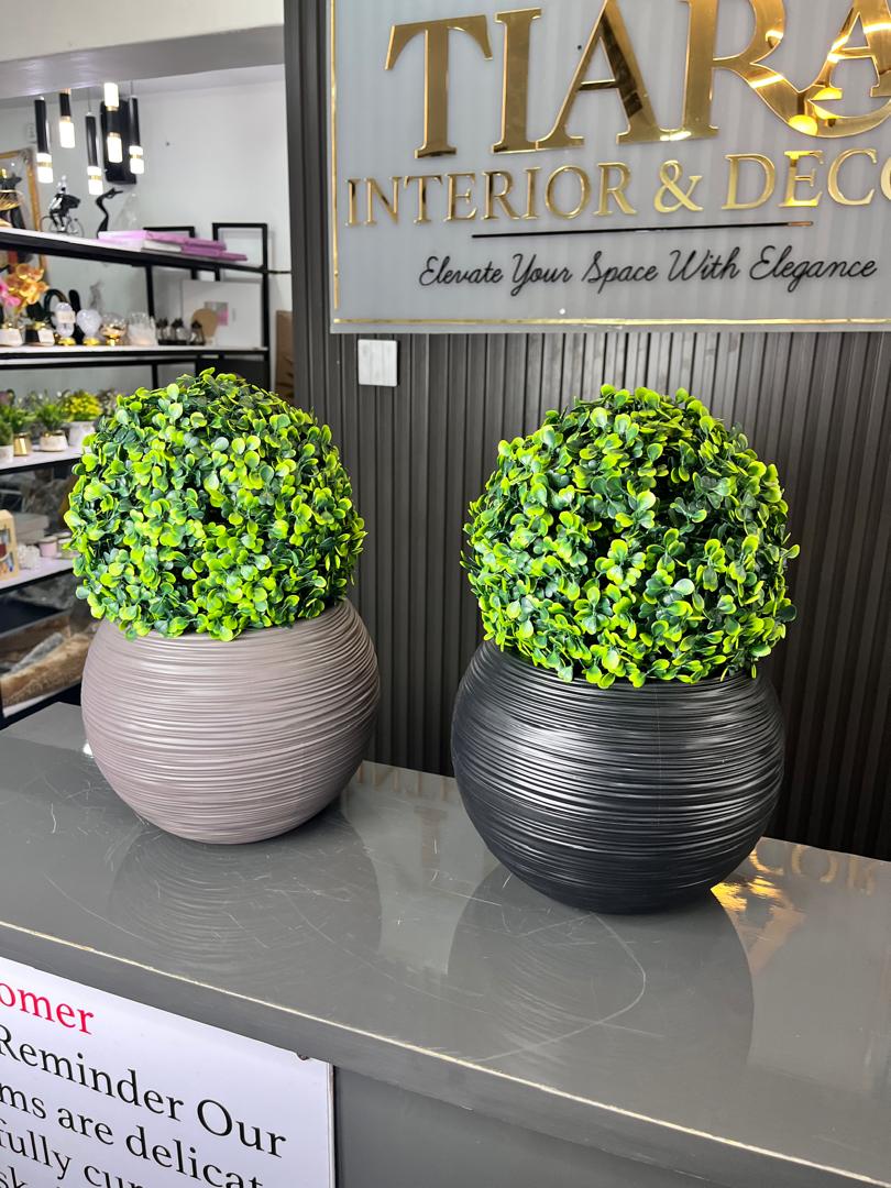 potted plants